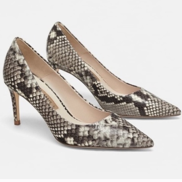 Snake print leather pumps. - Picture 4 of 10